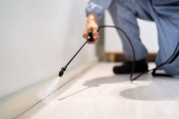 Licensed Termite Control service in Spring Arbor, MI - Nex Pest Control