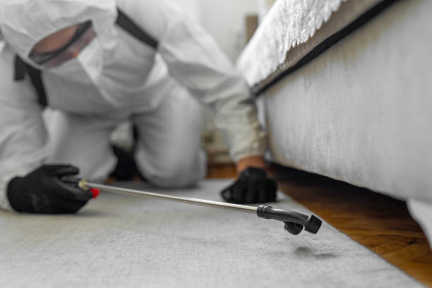 Professional Termite Control technician working in Spring Arbor, MI