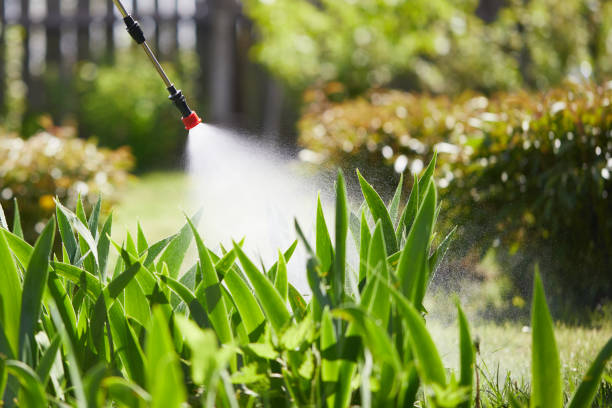 24/7 Emergency Termite Control experts in Spring Arbor, MI