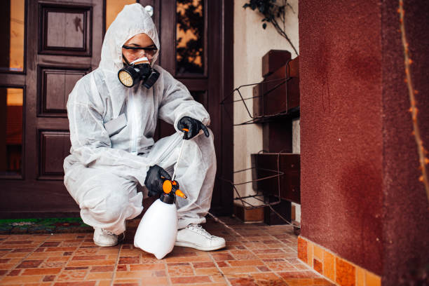 Reliable Termite Control contractor in Spring Arbor, MI by Nex Pest Control