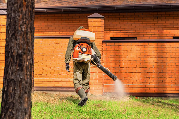 Top rated local Termite Control specialists in Spring Arbor, MI